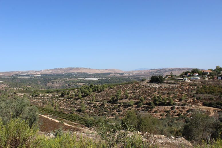 כרם בן זמרה - מבט ללבנון כרם בן זמרה - מבט ללבנון